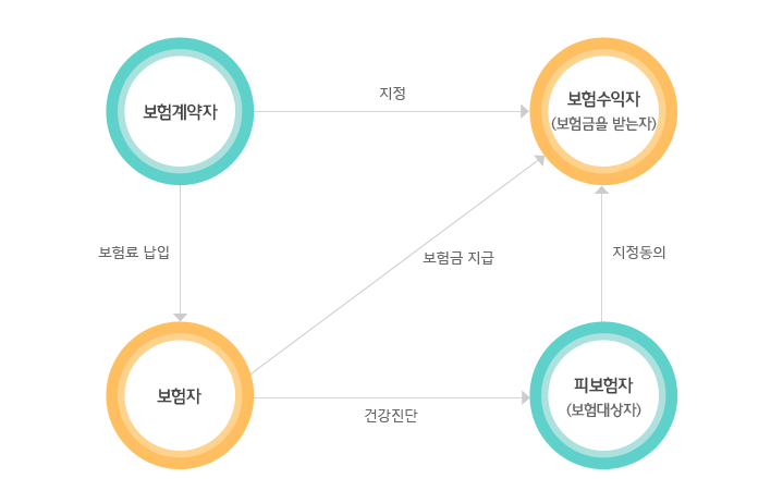 보험계약자는 보험자에게 보험료를 납입하고 보험수익자를 지정한다. 보험자는 보험수익자에게 보험금을 지급하고 피보험자에게 건강진단 결과를 통보하고 피보험자는 보험수익자에게 지정동의 처리를 한다.