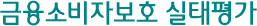 금융소비자보호 실태평가