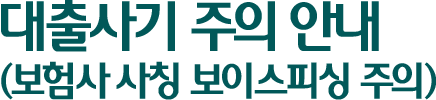 대출사기 주의 안내 (보험사 사칭 보이스피싱 주의)