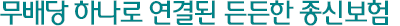 무배당 하나로 연결된 든든한 종신보험