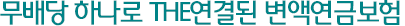 무배당 하나로 THE연결된 변액연금보험