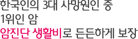 한국인의 3대 사맘원인 중 1위인 암 암진단 생활비로 든든하게 보장